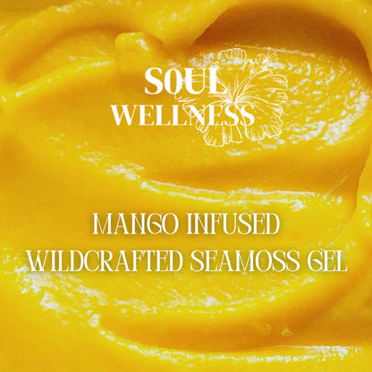 Mango Infused Seamoss gel